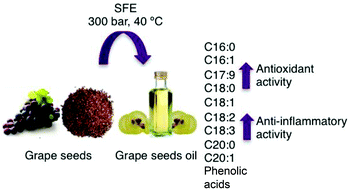 Graphical abstract: Supercritical fluid extraction of grape seeds: extract chemical composition, antioxidant activity and inhibition of nitrite production in LPS-stimulated Raw 264.7 cells