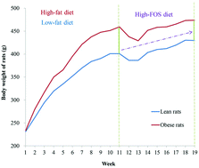 Graphical abstract: Lean rats gained more body weight from a high-fructooligosaccharide diet