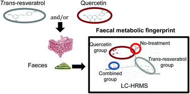 Graphical abstract: Metabolic faecal fingerprinting of trans-resveratrol and quercetin following a high-fat sucrose dietary model using liquid chromatography coupled to high-resolution mass spectrometry