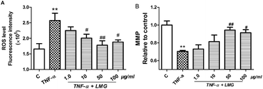 Graphical abstract: Low molecular weight guluronate prevents TNF-α-induced oxidative damage and mitochondrial dysfunction in C2C12 skeletal muscle cells