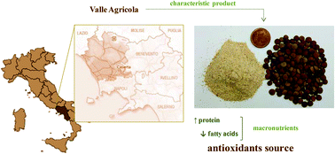 Graphical abstract: Valle Agricola lentil, an unknown lentil (Lens culinaris Medik.) seed from Southern Italy as a novel antioxidant and prebiotic source