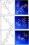 Graphical abstract: Anxiolytic effects of ACE inhibitory peptides on the behavior of rats in an elevated plus-maze