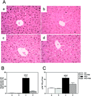 Graphical abstract: Dietary Rosa mosqueta (Rosa rubiginosa) oil prevents high diet-induced hepatic steatosis in mice