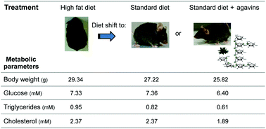 Graphical abstract: Agavins reverse the metabolic disorders in overweight mice through the increment of short chain fatty acids and hormones