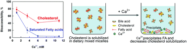 Graphical abstract: The mechanism of lowering cholesterol absorption by calcium studied by using an in vitro digestion model