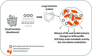 Graphical abstract: Fermentation of bioactive solid lipid nanoparticles by human gut microflora