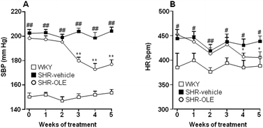 Graphical abstract: Antihypertensive effects of oleuropein-enriched olive leaf extract in spontaneously hypertensive rats