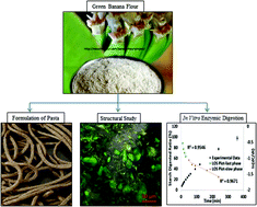 Graphical abstract: Structural properties and digestion of green banana flour as a functional ingredient in pasta