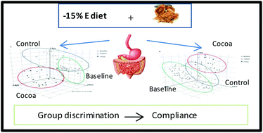 Graphical abstract: The urinary metabolomic profile following the intake of meals supplemented with a cocoa extract in middle-aged obese subjects