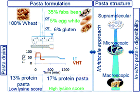 Graphical abstract: Protein enriched pasta: structure and digestibility of its protein network
