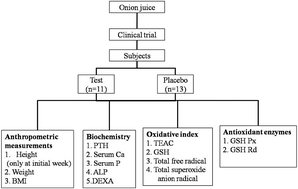 Graphical abstract: Consumption of onion juice modulates oxidative stress and attenuates the risk of bone disorders in middle-aged and post-menopausal healthy subjects