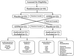 Graphical abstract: Improvement of green tea polyphenol with milk on skin with respect to antioxidation in healthy adults: a double-blind placebo-controlled randomized crossover clinical trial