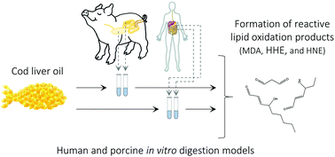 Graphical abstract: Formation of reactive aldehydes (MDA, HHE, HNE) during the digestion of cod liver oil: comparison of human and porcine in vitro digestion models