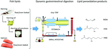 Graphical abstract: Formation of malondialdehyde (MDA), 4-hydroxy-2-hexenal (HHE) and 4-hydroxy-2-nonenal (HNE) in fish and fish oil during dynamic gastrointestinal in vitro digestion