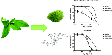 Graphical abstract: Stevia rebaudiana ethanolic extract exerts better antioxidant properties and antiproliferative effects in tumour cells than its diterpene glycoside stevioside