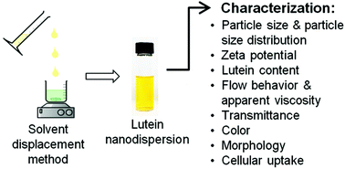 Graphical abstract: Physicochemical, morphological and cellular uptake properties of lutein nanodispersions prepared by using surfactants with different stabilizing mechanisms