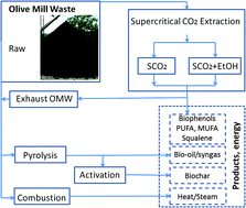 Graphical abstract: An integrated biorefinery concept for olive mill waste management: supercritical CO2 extraction and energy recovery