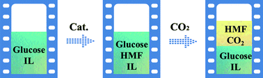 Graphical abstract: Extraction of 5-HMF from the conversion of glucose in ionic liquid [Bmim]Cl by compressed carbon dioxide