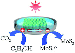 Graphical abstract: Layered MoS2 nanoparticles on TiO2 nanotubes by a photocatalytic strategy for use as high-performance electrocatalysts in hydrogen evolution reactions