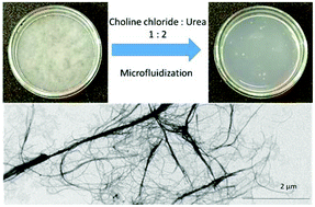 Graphical abstract: Deep eutectic solvent system based on choline chloride-urea as a pre-treatment for nanofibrillation of wood cellulose