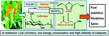 Graphical abstract: Production of methyl levulinate from cellulose: selectivity and mechanism study