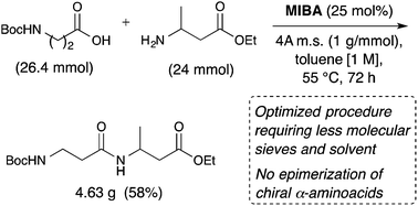 Graphical abstract: A multigram-scale lower E-factor procedure for MIBA-catalyzed direct amidation and its application to the coupling of alpha and beta aminoacids
