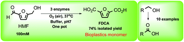 Enzyme cascade reactions: Synthesis of furandicarboxylic acid (FDCA) and carboxylic acids using oxidases in tandem