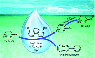 Graphical abstract: Copper-catalyzed hydroxylation of aryl halides: efficient synthesis of phenols, alkyl aryl ethers and benzofuran derivatives in neat water