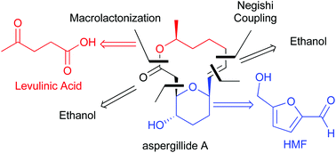 Graphical abstract: Synthesis of biologically active natural products, aspergillides A and B, entirely from biomass derived platform chemicals