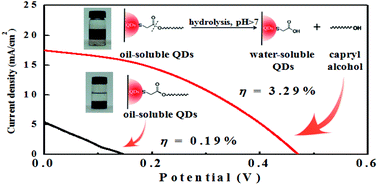 Graphical abstract: Application of quaternary Cu2ZnSnS4 quantum dot-sensitized solar cells based on the hydrolysis approach