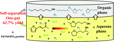 Graphical abstract: Energy-efficient production of 1-octanol from biomass-derived furfural-acetone in water