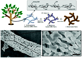 Graphical abstract: Carboxymethyl cellulose-templated synthesis of hierarchically structured metal oxides