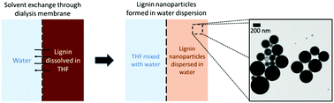Graphical abstract: A simple process for lignin nanoparticle preparation