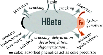 Graphical abstract: Aromatic hydrocarbon production by catalytic pyrolysis of palm kernel shell waste using a bifunctional Fe/HBeta catalyst: effect of lignin-derived phenolics on zeolite deactivation