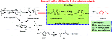Graphical abstract: Conversion of carbohydrates to furfural via selective cleavage of the carbon–carbon bond: the cooperative effects of zeolite and solvent