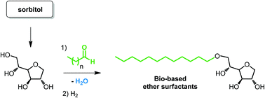 Graphical abstract: Preparation of amphiphilic sorbitan monoethers through hydrogenolysis of sorbitan acetals and evaluation as bio-based surfactants