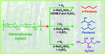 Graphical abstract: Selective transformation of hemicellulose (xylan) into n-pentane, pentanols or xylitol over a rhenium-modified iridium catalyst combined with acids