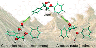 Graphical abstract: Intermediate oxiranes in the base-catalyzed depolymerisation of lignin
