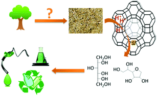 Graphical abstract: The importance of pretreatment and feedstock purity in the reductive splitting of (ligno)cellulose by metal supported USY zeolite