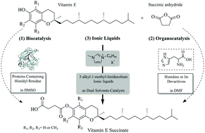 Graphical abstract: Using imidazolium-based ionic liquids as dual solvent-catalysts for sustainable synthesis of vitamin esters: inspiration from bio- and organo-catalysis