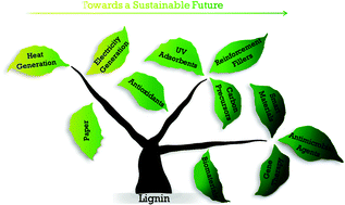 Graphical abstract: Towards lignin-based functional materials in a sustainable world