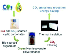 Graphical abstract: CO2-blown microcellular non-isocyanate polyurethane (NIPU) foams: from bio- and CO2-sourced monomers to potentially thermal insulating materials