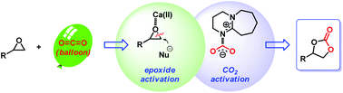 Graphical abstract: Cooperative calcium-based catalysis with 1,8-diazabicyclo[5.4.0]-undec-7-ene for the cycloaddition of epoxides with CO2 at atmospheric pressure