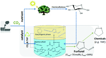Graphical abstract: Highly efficient and selective CO2-adjunctive dehydration of xylose to furfural in aqueous media with THF
