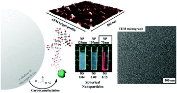 Graphical abstract: Synthesis of redispersible spherical cellulose II nanoparticles decorated with carboxylate groups