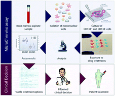Graphical abstract: MicroC3: an ex vivo microfluidic cis-coculture assay to test chemosensitivity and resistance of patient multiple myeloma cells
