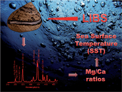 Graphical abstract: Mg/Ca ratios measured by laser induced breakdown spectroscopy (LIBS): a new approach to decipher environmental conditions