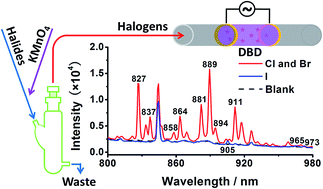 Graphical abstract: Dielectric barrier discharge-optical emission spectrometry for the simultaneous determination of halogens