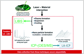 Graphical abstract: Elemental mapping of biological samples by the combined use of LIBS and LA-ICP-MS