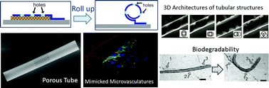 Graphical abstract: Tailoring three-dimensional architectures by rolled-up nanotechnology for mimicking microvasculatures